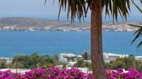 Aloe Paros Suites And Studios 德里奥斯 外观 照片